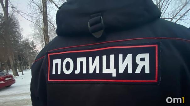 В Омске со строительных лесов упал и насмерть разбился мужчина