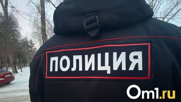 В Омске со строительных лесов упал и насмерть разбился мужчина