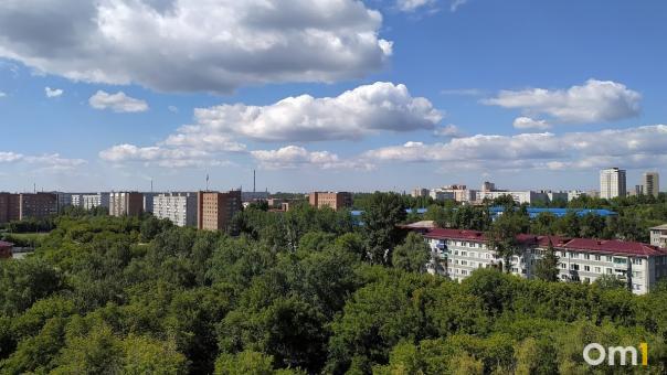 Сероводородом и аммиаком дышали омичи вчера