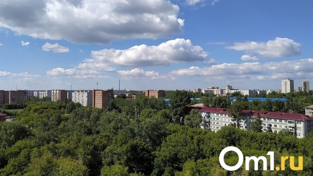 Сероводородом и аммиаком дышали омичи вчера