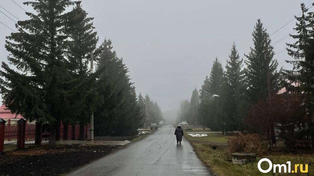 Когда в омске прекратятся дожди. Карабаново памятник. Парк Победы Семенов. Карабаново парк. Карабаново Владимирская область.