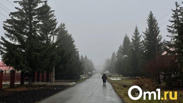 На Омскую область обрушится ледяной дождь и опустится туман