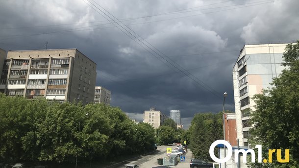 Дожди и грозы ожидаются на неделе в Новосибирской области