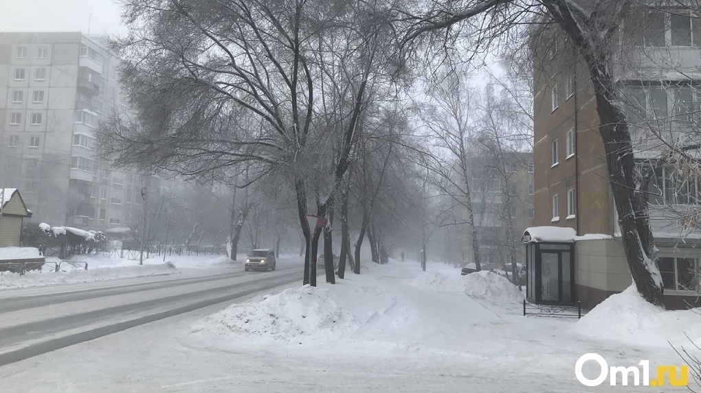 Синоптики рассказали, когда в Новосибирске отступят аномальные морозы