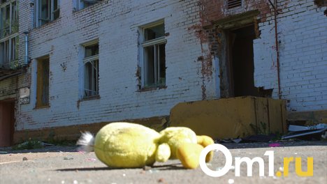 Оттаскали за волосы в день рождения: в Омской области мать, лишившаяся трёх детей, пострадала от супруга