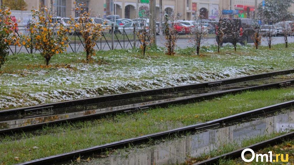 В середине недели в Омской области ожидается мокрый снег