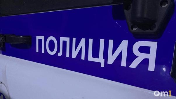 В Омске 10-летняя девочка впустила в дом грабителя, пока мама спала
