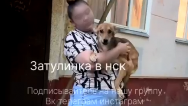 Собака три дня выла в пустой квартире: хозяйка бросила пса в Новосибирске
