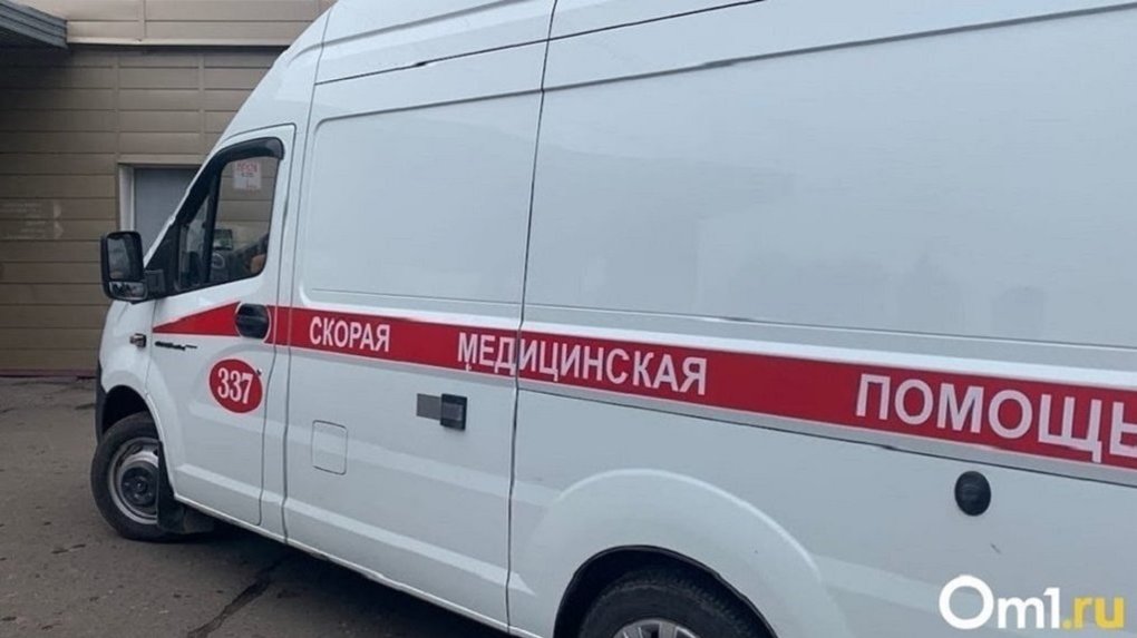 Тягач Scania сбил насмерть пешехода под Новосибирском. ФОТО