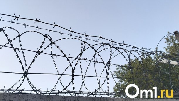 В Новосибирске 47-летний мужчина получил новый срок за побег из колонии