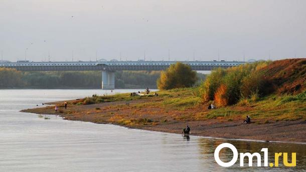 В Омской области затопило мост из-за паводка