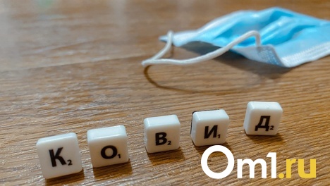 Школьный карантин и удалёнка: в Новосибирской области ввели новые ограничения из-за омикрон-штамма