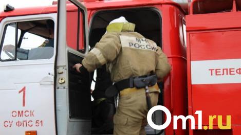 Пылающая заброшка: на окраине Омска сгорела дача