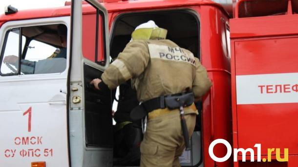 Пылающая заброшка: на окраине Омска сгорела дача