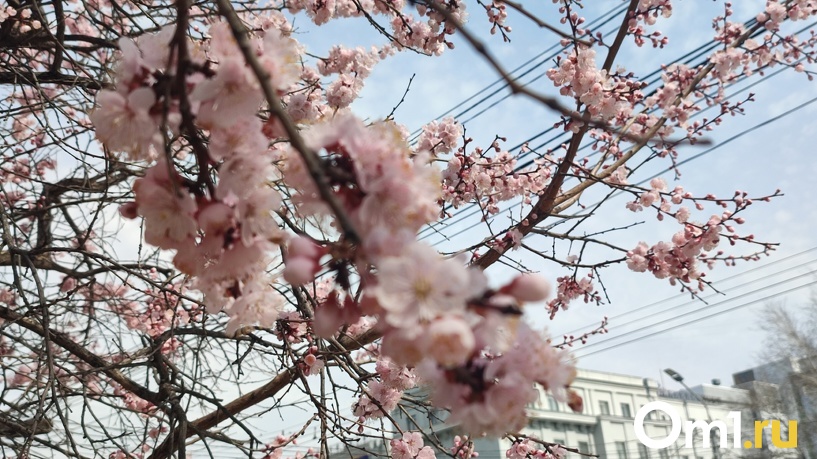 Изображение фоторепортажа