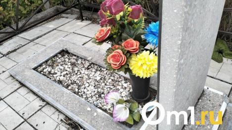 Под Омском откроют новое муниципальное кладбище