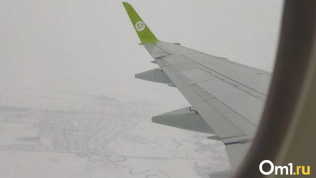 В крыле прилетевшего самолета S7 из Сургута в Новосибирск нашли вмятину
