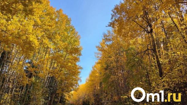 Пещеры и лечебные озёра: топ мест для отдыха осенью в Новосибирской области