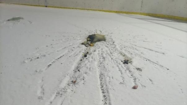 В Омске банда вандалов забросала хоккейную коробку банками с машинным маслом