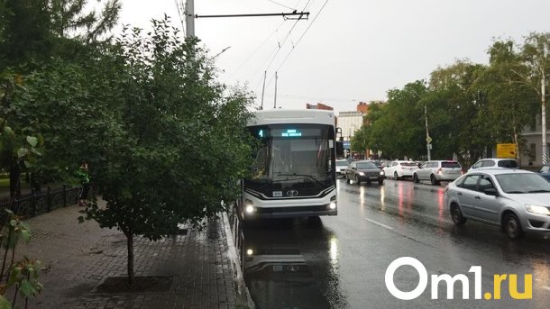 Ливень парализовал электротранспорт в Омске