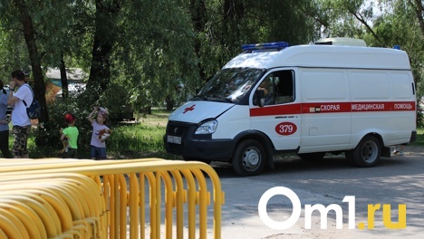 В Омске начнётся суд над пьяным водителем, который по дороге за выпивкой насмерть сбил школьницу