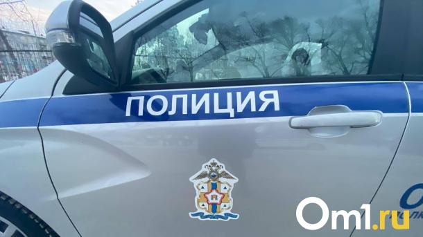 На севере Омска машина сбила подростка