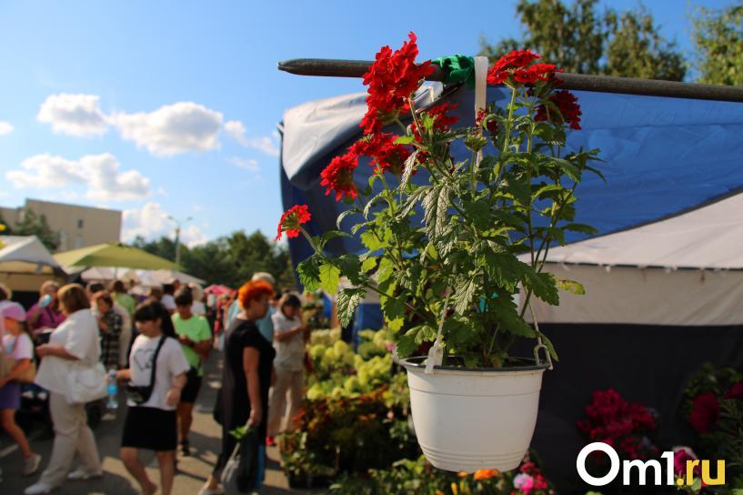 Изображение фоторепортажа