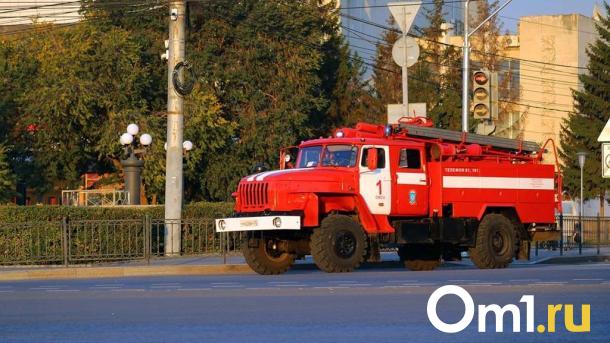 В Омске семь подростков представлены к наградам МЧС за героизм при пожарах