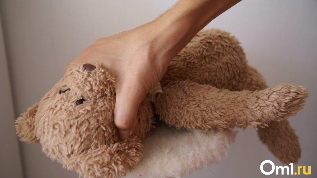 Более 2 500 преступлений против несовершеннолетних совершили в Новосибирской области в 2022 году