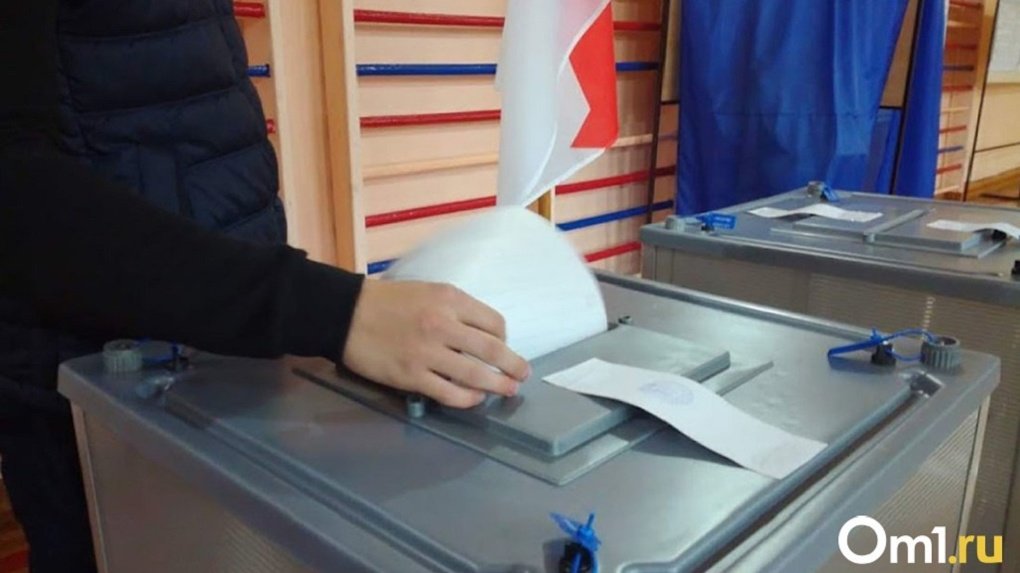 В Новосибирском избиркоме назвали новые данные о явке избирателей