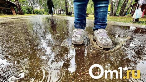 Уходим под воду? В Омской области из-за продолжительных дождей затапливает дома