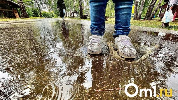Уходим под воду? В Омской области из-за продолжительных дождей затапливает дома
