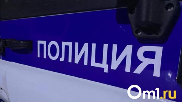 Омич украл в магазине электроники оборудование для компьютера