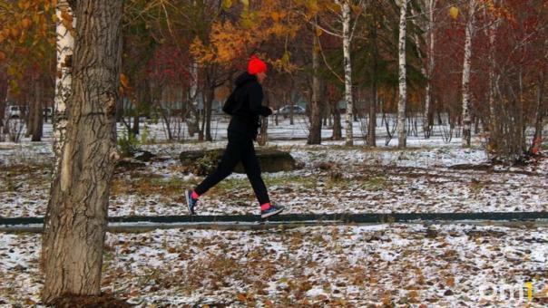 Заморозки до -3 °C надвигаются на Новосибирскую область на следующей неделе