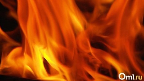 В Новосибирской области повышенная пожароопасность сохранится до 27 июня