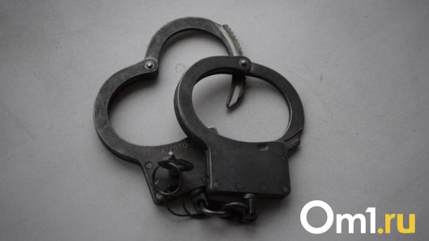 Курьера-закладчика, приехавшего в Омск из-за границы, могут посадить на 20 лет