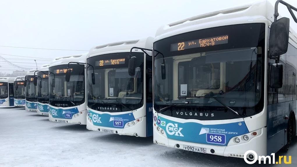 До конца года в Омск должны привезти ещё 48 экологичных автобусов