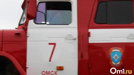 За новогодние каникулы в пожарах погибли пять омичей