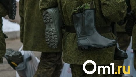 Маскировочные нашлемники для бойцов СВО планируют выпускать под Новосибирском