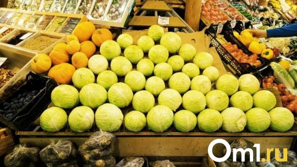 Агроном Шубина поделилась с новосибирцами секретами хранения капусты