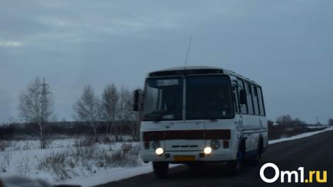 В Омске отменили 25 автобусных рейсов в районы