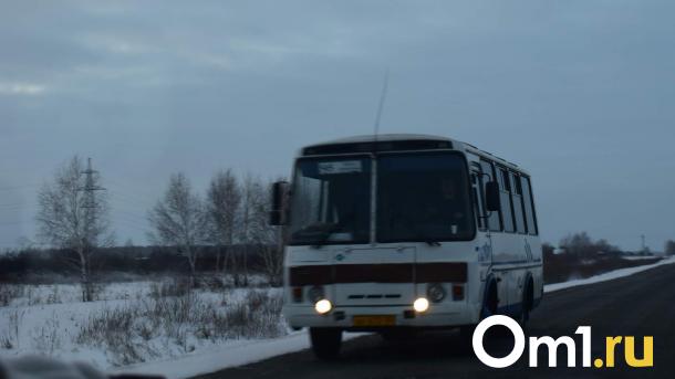 В Омске отменили 25 автобусных рейсов в районы