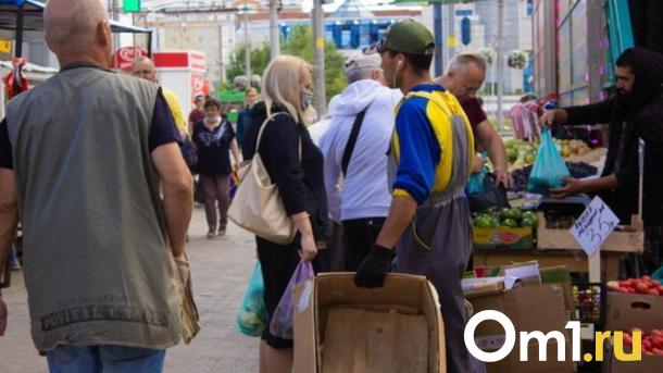 Долю работников-мигрантов планируют сократить в Новосибирской области