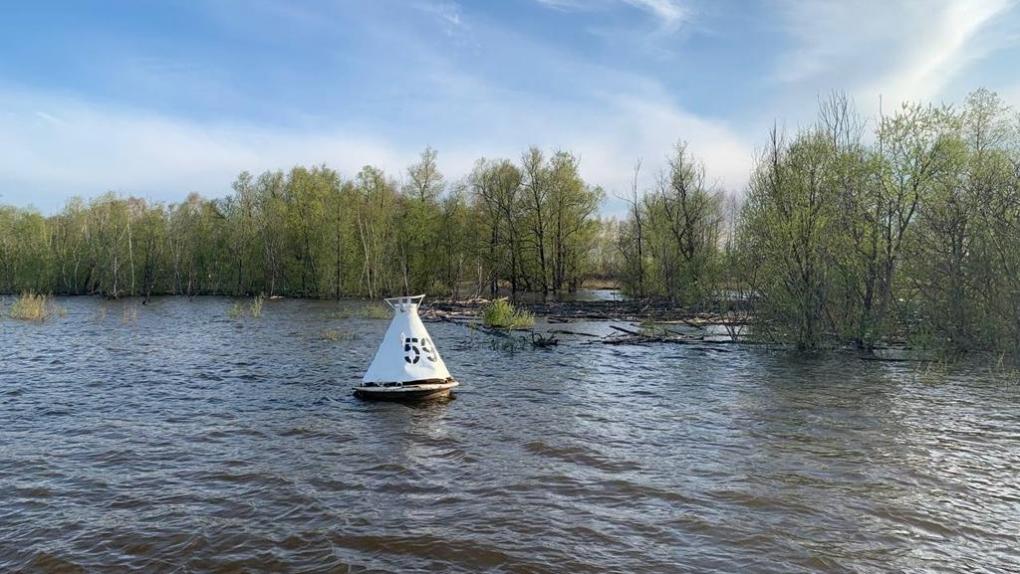 Уровень воды в реке на севере Омской области за сутки упал на 19 сантиметров