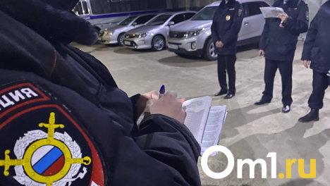 Омского полковника полиции с дорогим коттеджем могут уволить за убийство шпица