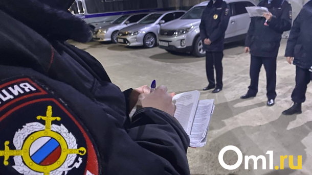 Омского полковника полиции с дорогим коттеджем могут уволить за убийство шпица
