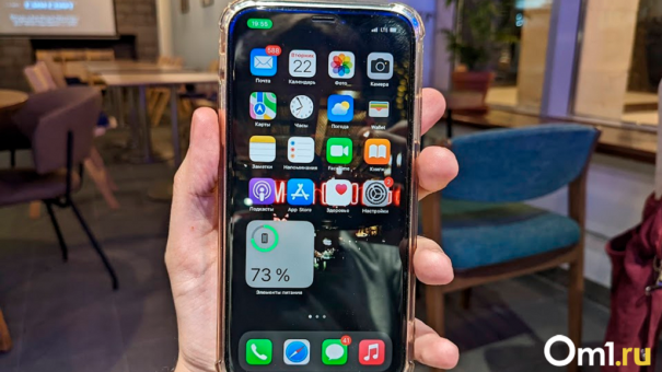 Новосибирский 2ГИС пропал из AppStore