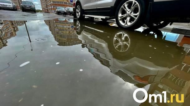 По 13 омским улицам не могут ездить начинающие водители