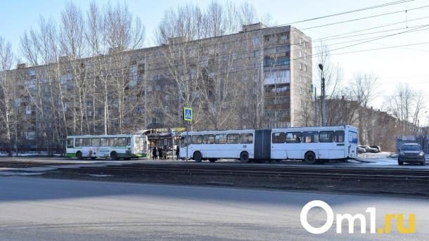 Мэрия хочет вернуть в Омск «автобусы-гармошки»