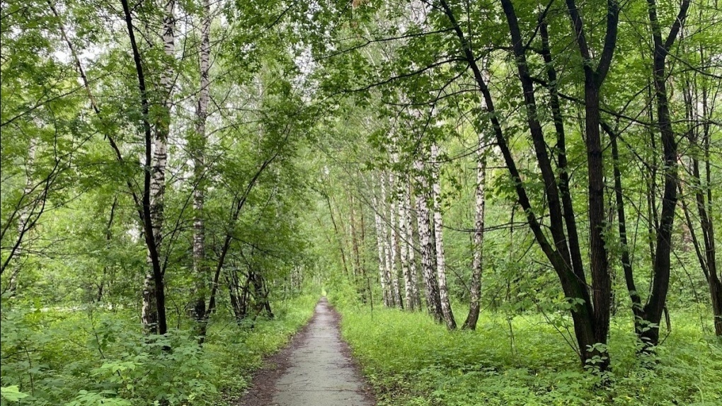 В Минприроды Новосибирской области определили сроки для осенней охоты